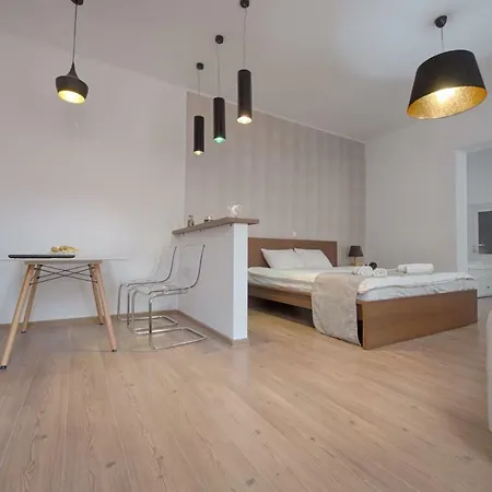 Casa Witting Apartment Brasov Exterior photo