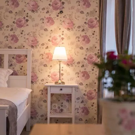 Casa Witting Apartment Brasov Exterior photo