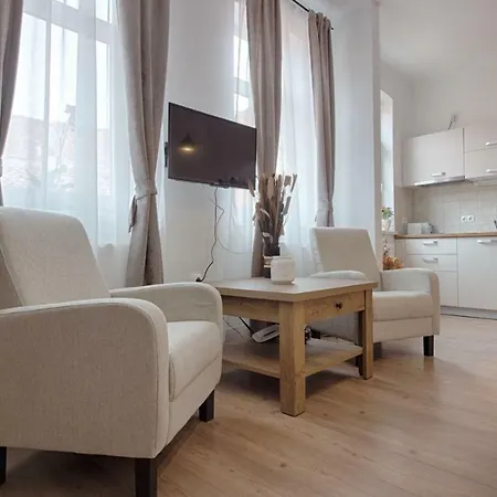 Casa Witting Apartment Brasov Exterior photo